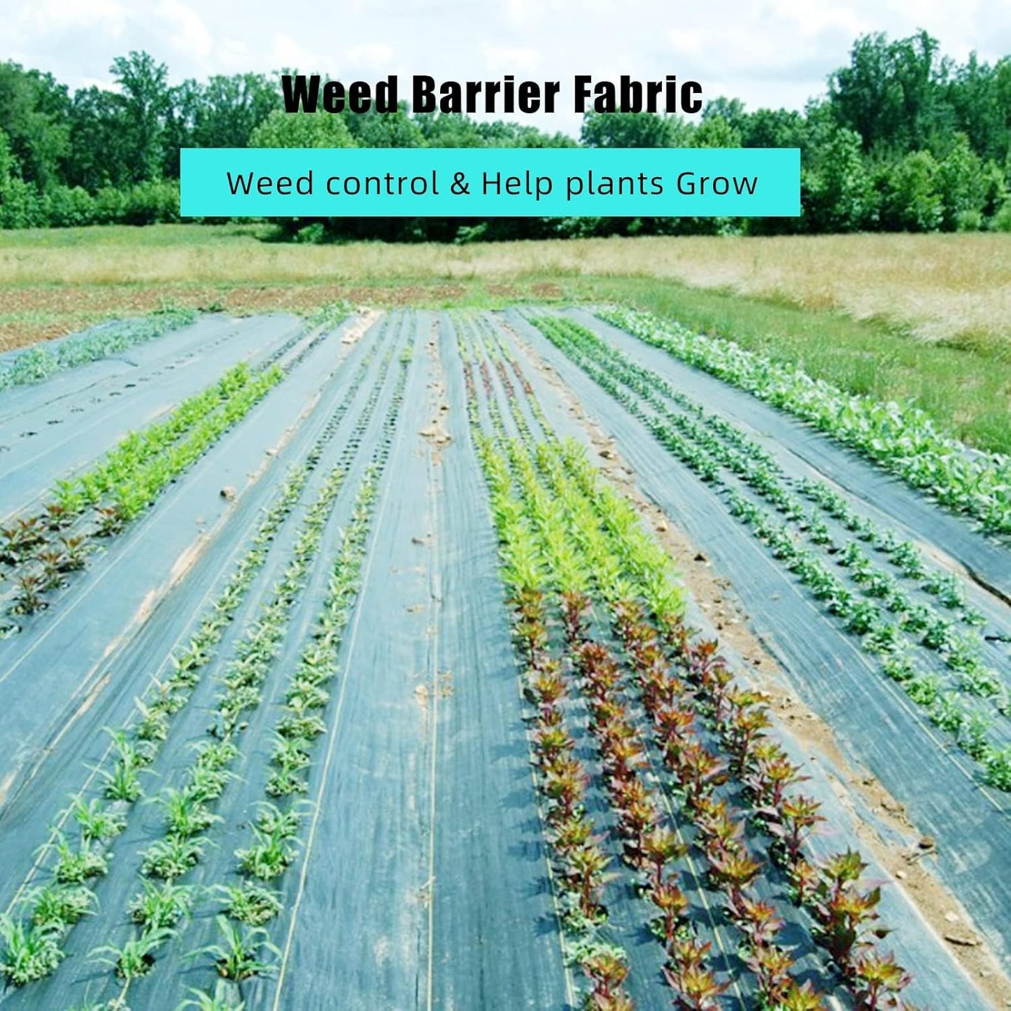 6.5 Ft x 300 Ft Heavy Duty Weed Barrier Landscape Fabric, 3Oz Professional Grade Weed Barrier Fabric for Gardening, Erosion Control & Construction, Durable Polypropylene Ground Cover