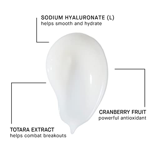 ARCONA Magic White Ice - Daily Oil Free Moisturizer - Hyaluronic Acid Moisturizer with Organic Aloe, Tea Tree, Vitamin C & Glyercin -Made In The USA