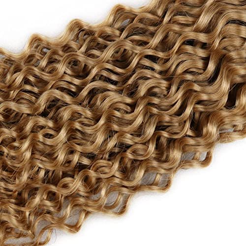 22 24 26 Inch Color 27 Bundles Human Hair Honey Blonde Curly Bundles Brazilian Unprocessed Virgin Hair 3 Bundles Color 27 Kinky Curly Bundles Human Hair