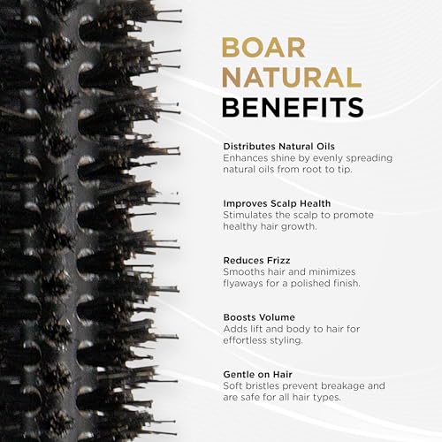 COCCO Black Series Ceramic Boar Brush S6, Hair Styling Brush with Dual Bristle Technology, Ceramic-Coated Barrel, Ergonomic Design