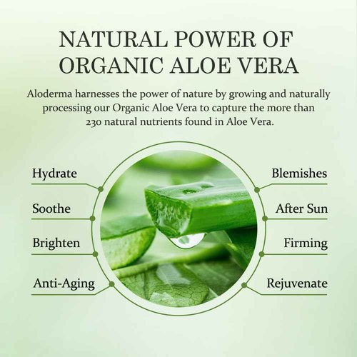 Aloderma Signature Aloe Firming & Rejuvenating Set - 6 Pieces - 114g Gel, Cleanser, Toner, Serum, Cream x 2pcs