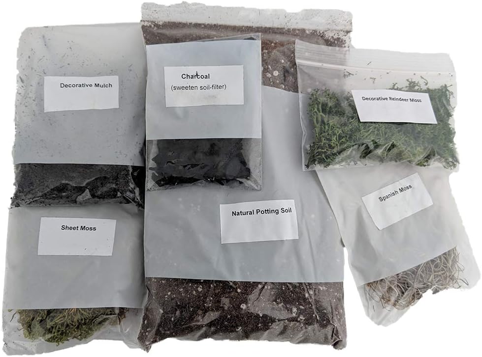 Hirt's Gardens Terrarium Kit - Create Your Own Living Terrarium