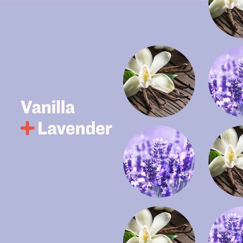 Everyone 3-in-1 Soap Body Wash, Bubble Bath, Shampoo, Travel Size, 2 Ounce (Pack of 24), Vanilla and Lavender, Coconut Cleanser with Plant Extracts and Pure Essential Oils