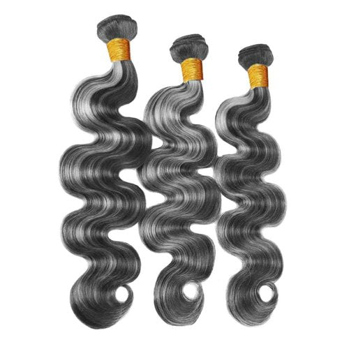 Fridnae Hair 26-30 Inch Highlight Bundles - P1B Grey Body Wave Human Hair - Two Tone Black & Silver Ombre - Grey Body Wave
