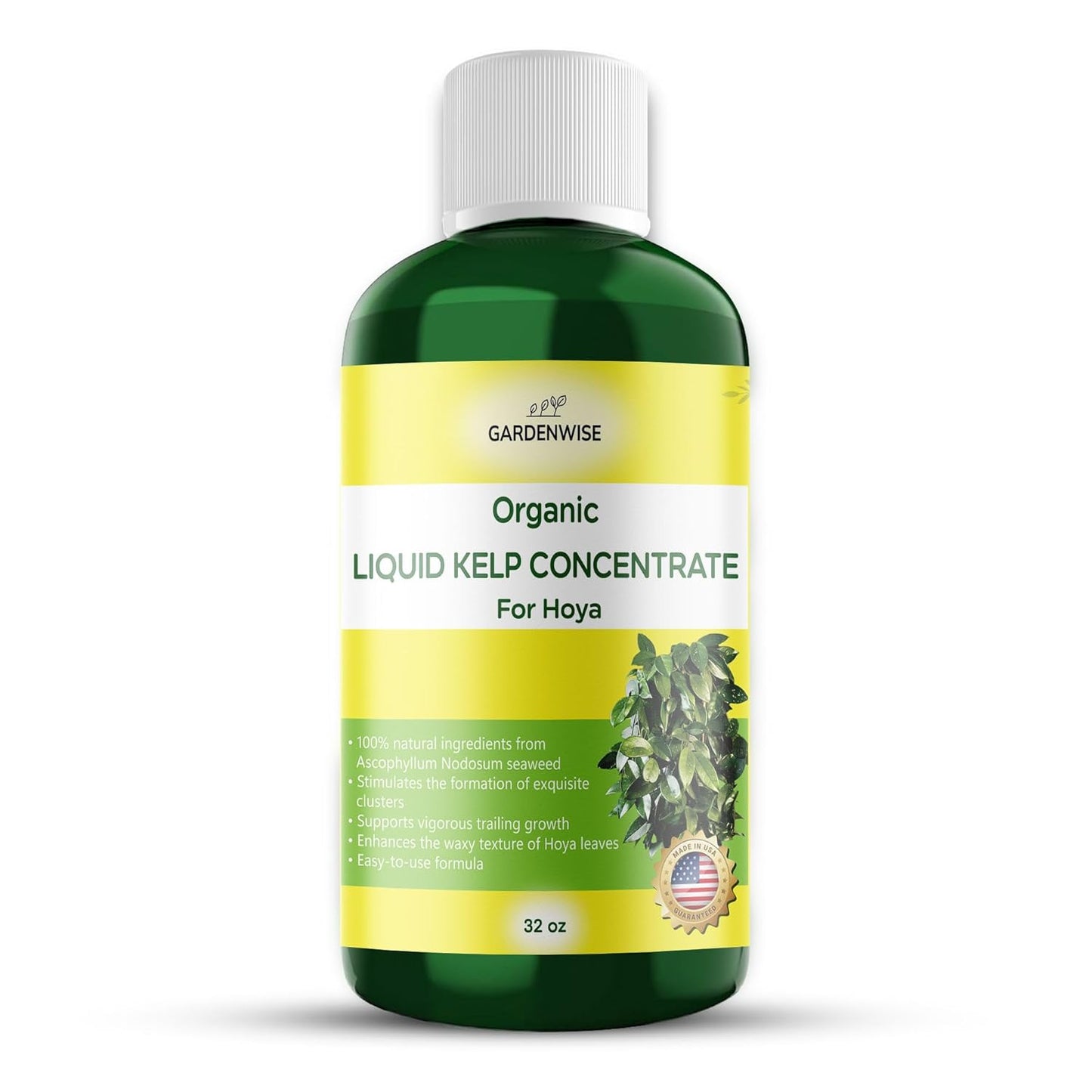 Organic Premium Kelp Seaweed Concentrate for Hoya - Liquid Fertilizer - Liquid Plant Food - Nutrient-Rich Soil Enhancer - Natural Plant Food for Hoya Plant (32 OZ), OLKC-15