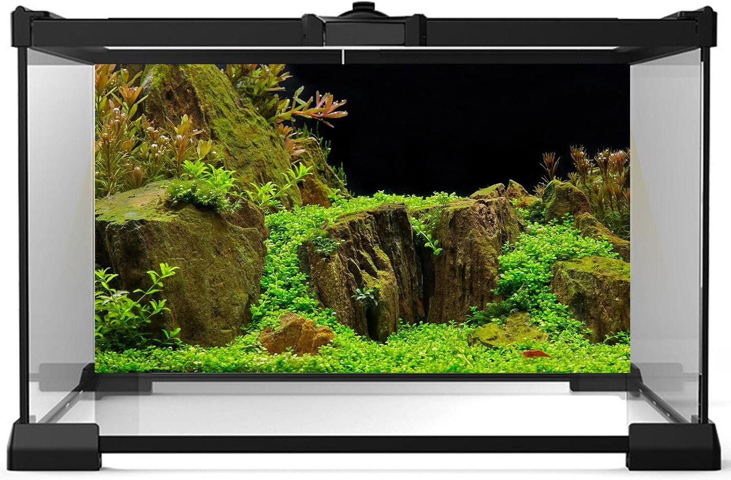 Aquarium Background Exquisite Underwater Grass Moss Fish Tank Background Under Water Stone Terrarium Background Durable Vivid Leaves Undersea Scene Tank Background 36x18in