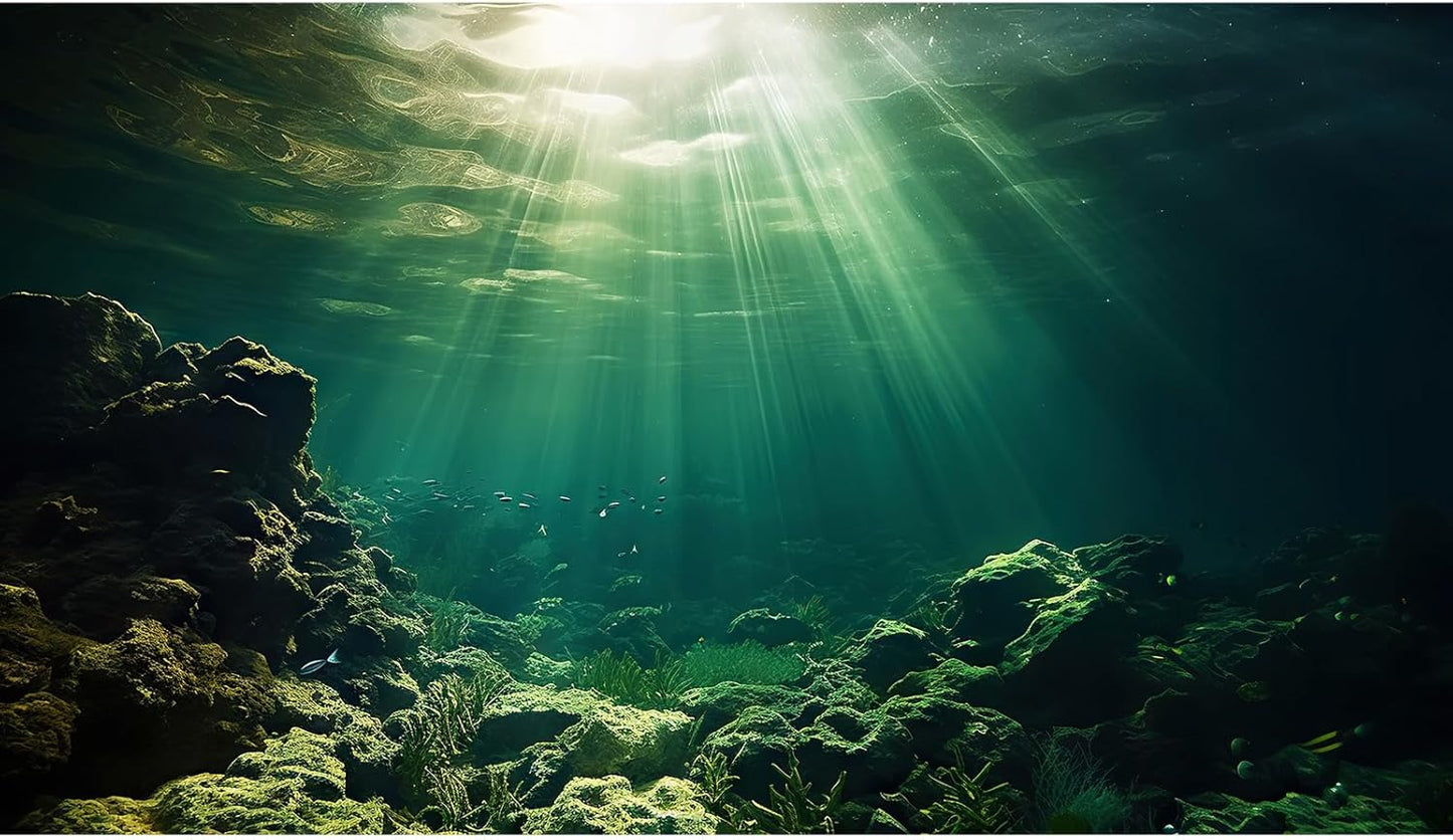 Under The Sea Aquarium Background Underwater Fish Tank Background Ocean Floor Rock Cave Sunray Terrarium Backgrounds Tropical Fish Ocean World Aquarium Reptile Tank Backgrounds 24x12in