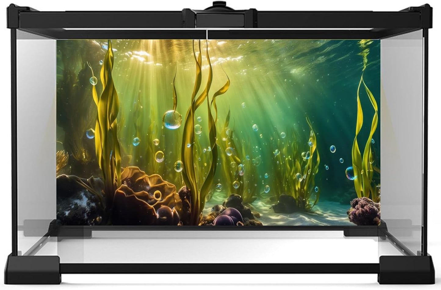 Aquarium Background Underwater Beautiful Coral Reef with Seaweed Bubbles Terrarium Backdrop Aquatic Plants Sunlight Rays Fish Tank Background Tank Aquarium Wallpaper Poster Decor Vinyl 36x24in
