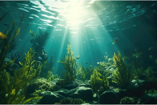 Ocean Aquarium Background Aquatic Plants with Rocks Terrarium Backdrop Sunlight Rays Deep Sea Fish Tank Background Aquarium Wallpaper Poster Decor Vinyl 30x12in