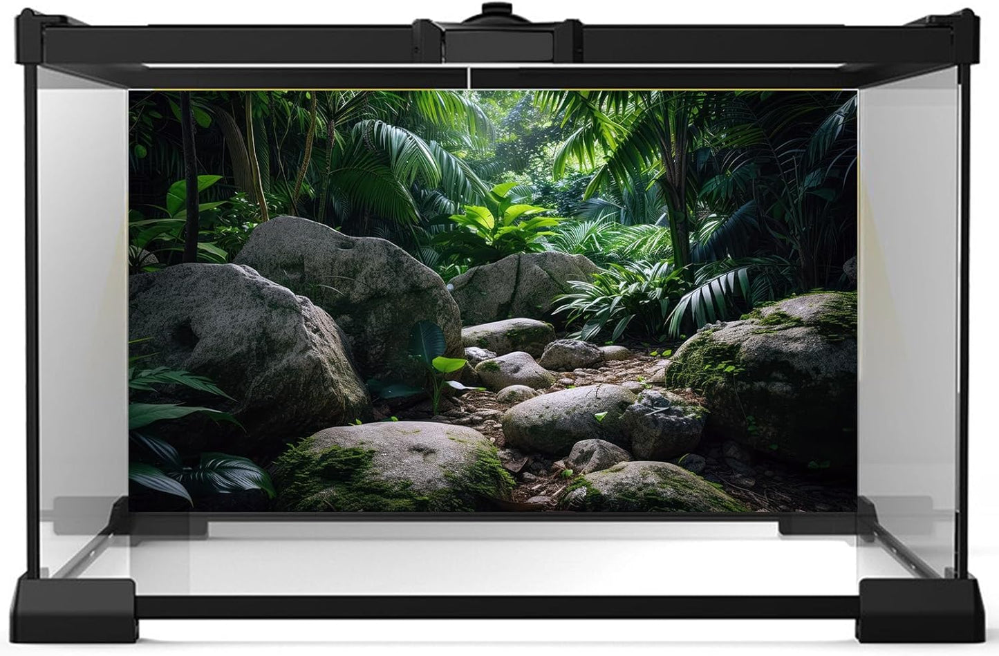 Reptile Habitat Backdrop Lush Tropical Plants and Rocks Terrarium Backdrop Dense Vegetation with Large Broad Leaves and Ferns Fish Tank Background Aquarium Wallpaper Poster Decor Vinyl 36x20in