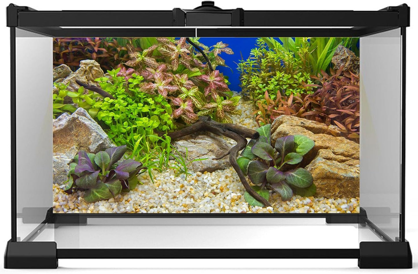 Aquarium Background Various Underwater Grass Plants Pebble Aquarium Backdrop Vivid and Fresh Green Aquatic Plants Stone River Bed and Dead Wood Purple Leaves Tank Background Vinyl 72x18in