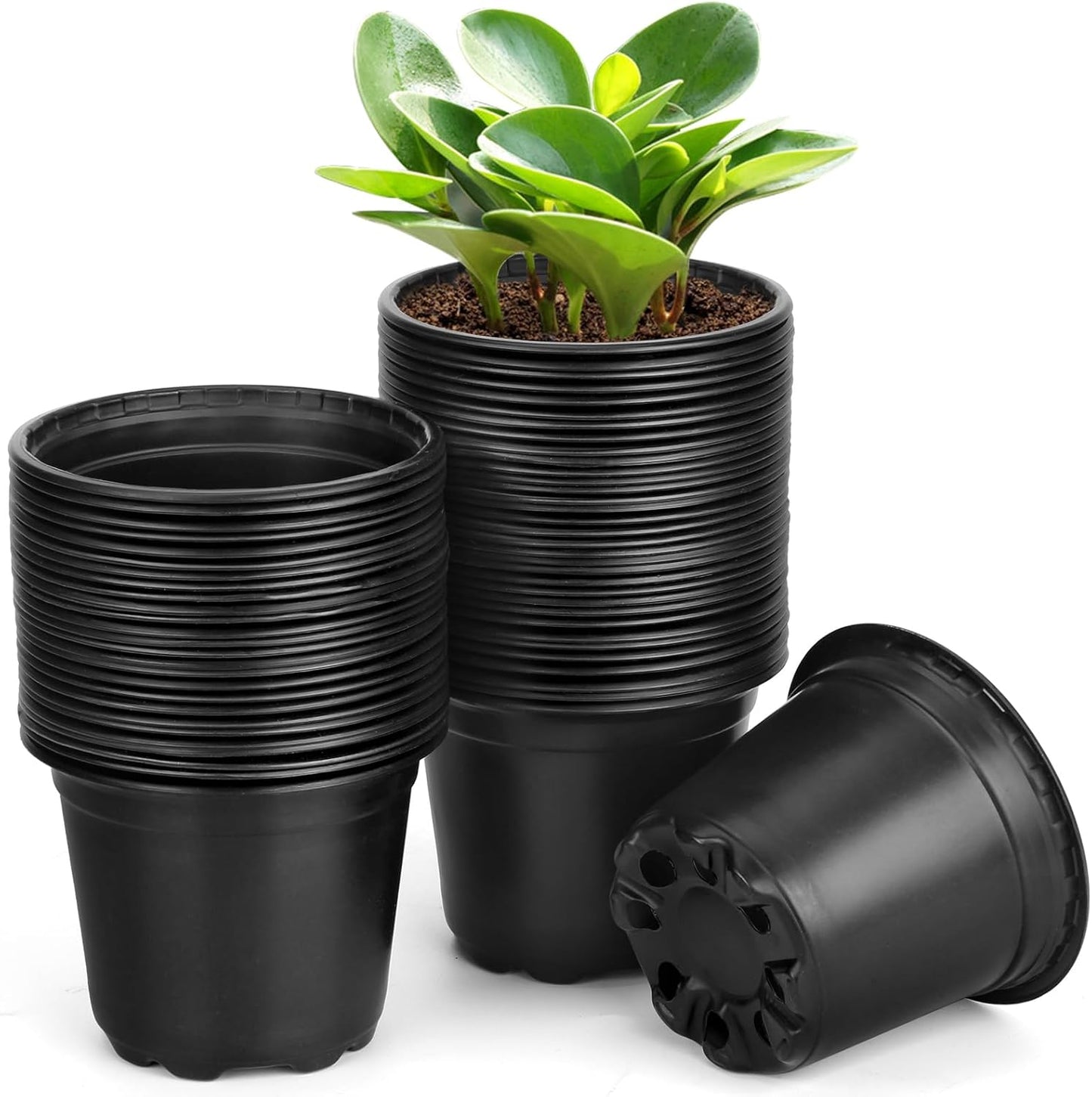 60 Pack 5 Inch Nursery Pots for Plants, Plastic Seeds Starter Pots with Drainage Holes, Small Plastic Plant Nursery Pots for Succulents Seedling Cutting Transplanting (60, 5 Inch)