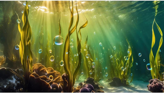 Aquarium Background Underwater Beautiful Coral Reef with Seaweed Bubbles Terrarium Backdrop Aquatic Plants Sunlight Rays Fish Tank Background Tank Aquarium Wallpaper Poster Decor Vinyl 36x20in