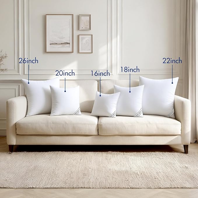 MIULEE 24x24 Inch Pillows Inserts, Pack of 2 Down Alternative Virgin Filling Comfy Support Throw Pillows for Sofa Couch Bed