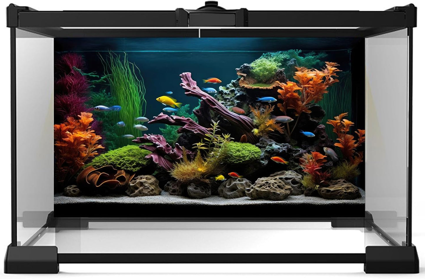 Aquarium Background Lush Aquatic Colorful Plants Terrarium Background Redwood Root Coral Reef Jungle Style Fish Tank Background Amazing Underwater View Aquarium Backdrop Wallpaper Poster Vinyl 24x12in