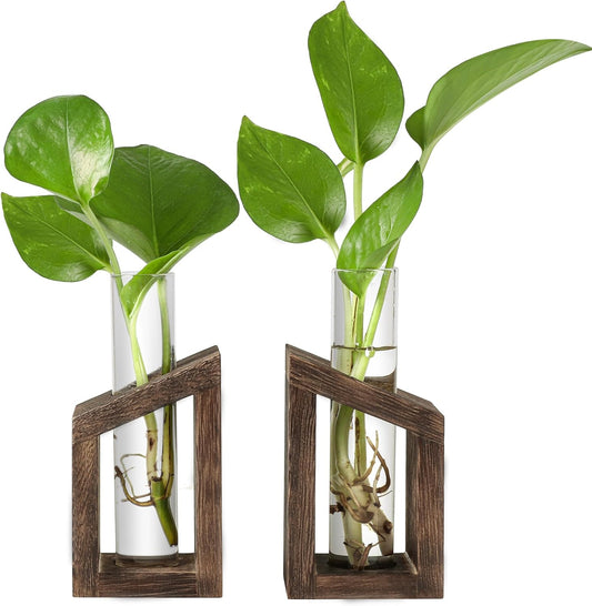 Ivolador Test Tube Propagation Stations Pothos Planter Terrarium Container Perfect for Propagating Hydroponic Plants Home Office Garden Decor Wedding -2 PCS