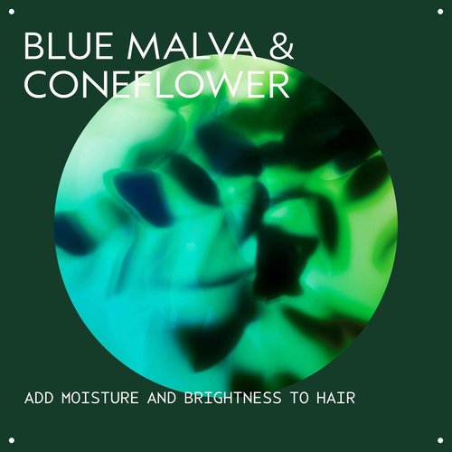 Aveda Blue Malva Shampoo & Color Conditioner Set | Purple Shampoo and Conditioner for Blonde & Gray Hair | Neutralizes Brassiness & Yellow Tones | 95%+ Naturally Derived*