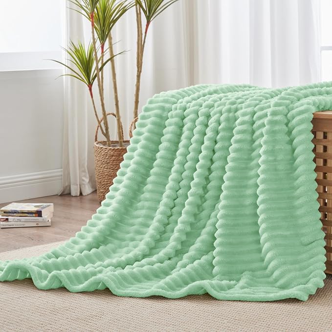 BEDELITE Twin Blanket for Couch & Bed, 300GSM Soft & Warm Fleece Blanket, Decorative and Giftable Striped Mint Green Blankets for Women, Men, 60"x80"