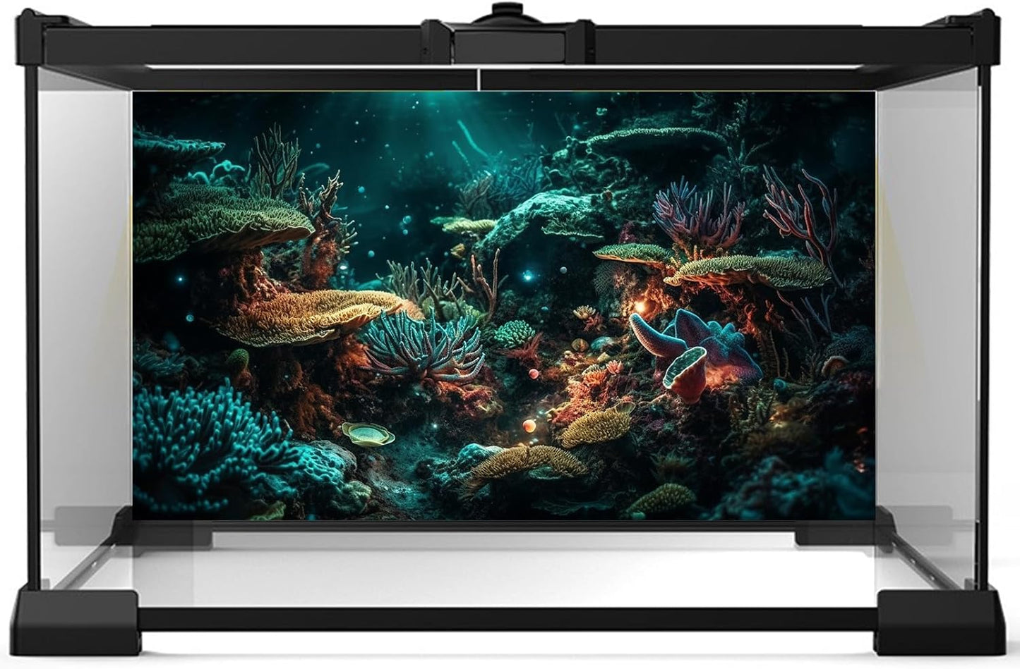 Aquarium Background Colorful Picturesque Coral Reef Terrarium Background Tropical Sea Various Hard Corals Underwater Landscape Fish Tank Backdrop Aquarium Poster Background Vinyl 24x12in