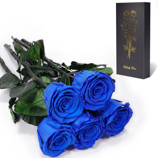 Yamonic Preserved Flowers Rose Gifts for Mom Grandma, Mom Birthday Gifts for Women, Mothers Day Real Flower Rose Gifts for Mom,Her,Wife,Girlfriend on Christmas,Valentine's Day,Anniversary(5 Rose)