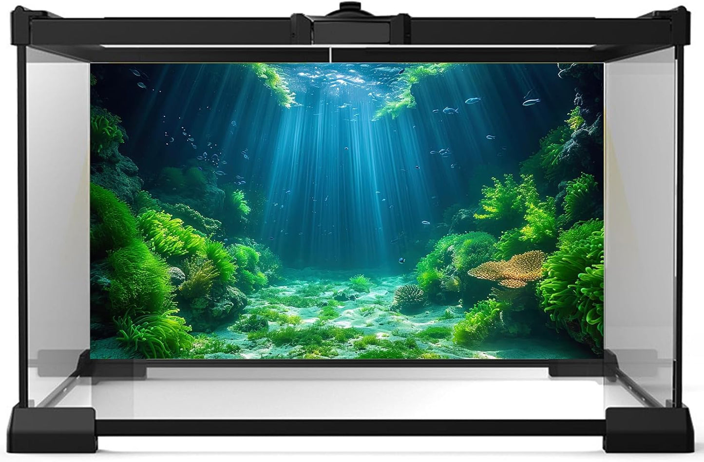 Aquarium Background Aquatic Plants Soft Algae Terrarium Backdrop Underwater World Fish Rock with Moss Sunlight Rays Fish Tank Background Aquarium Wallpaper Poster Decor Vinyl 72x24in