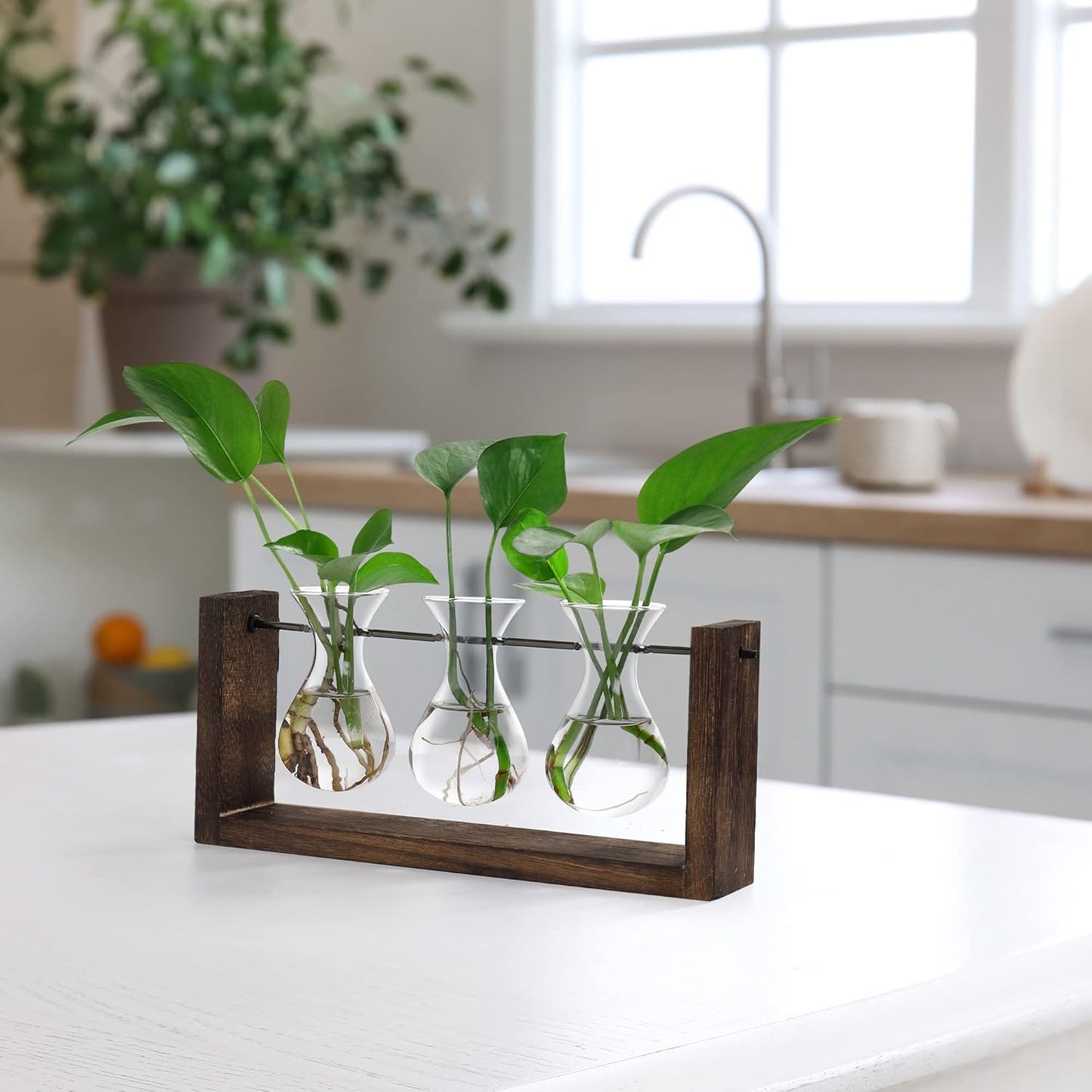 YIBOT Wall Hanging Planter Propagation Station, Plant Terrarium with Wooden Stand, Hydroponics Plants Home Office Living Room Decor Gift-3 Bulb Glass Vases