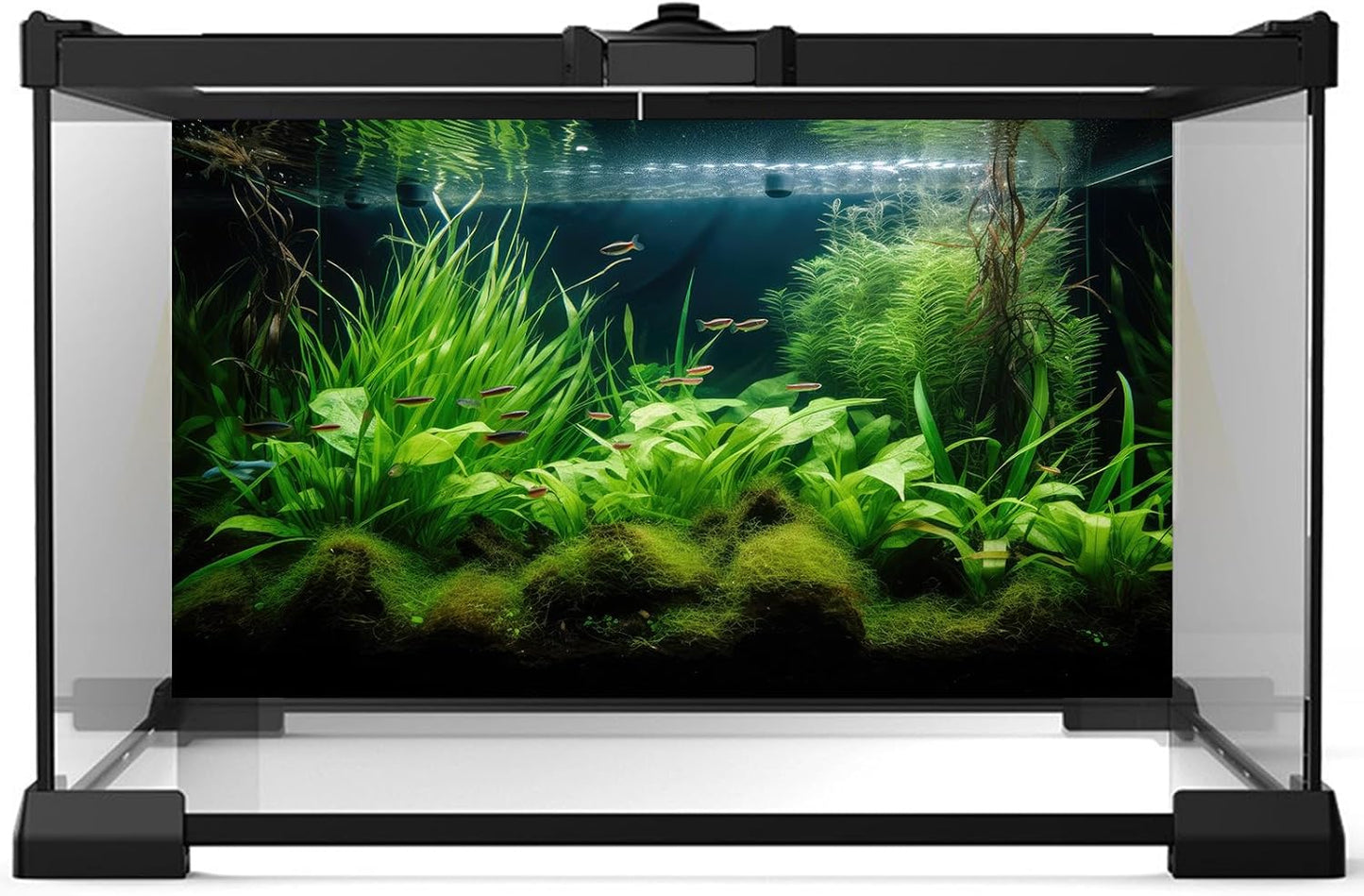 Aquarium Background Diverse Aquatic Plants Seagrasses Terrarium Background Redwood Root Lush Green Underwater Plants Tropical Style Fish Tank Background Under The Sea Aquarium Backdrop Vinyl 60x24in