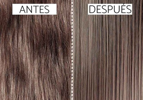 Cirugia Capilar De Celulas Madres De Manzana Con Argan (32 oz + Shampoo) Alisado Perfecto Y natural. (32oz)