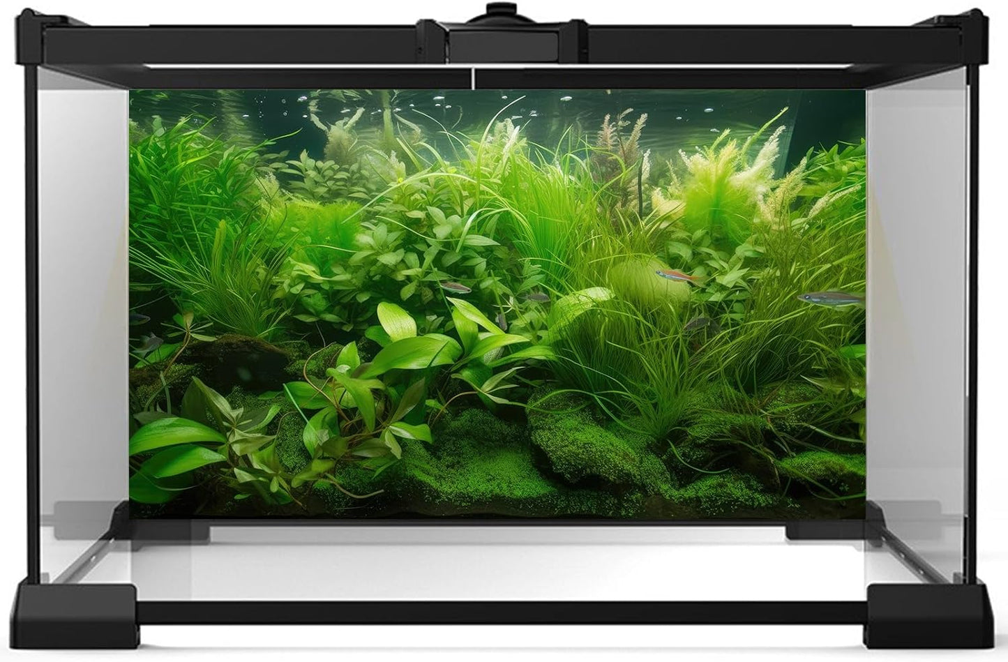 Aquarium Background Diverse Collection of Aquatic Plants Seagrasses Terrarium Background Redwood Root Moss Tropical Style Underwater Lush Green Plants Fish Tank Background Wallpaper Poster 24x16in