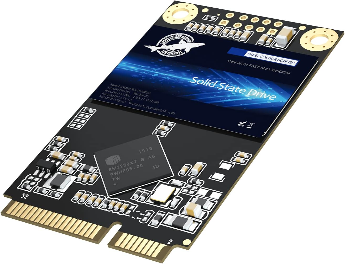 Dogfish mSATA SSD 250GB 3D NAND TLC SATA III 6 Gb/s, mSATA (30x50.9mm) Internal Solid State Drive - Compatible with Desktop PC Laptop - (MSATA 250GB)