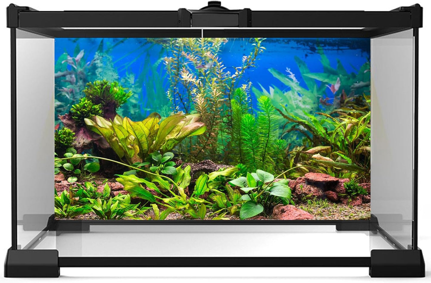 Aquarium Background Various Underwater Grass Plants Aquarium Backdrop Vivid and Fresh Green Aquatic Plants Stone River Bed and Dead Wood Purple Stone Fish Tank Background 48x18in