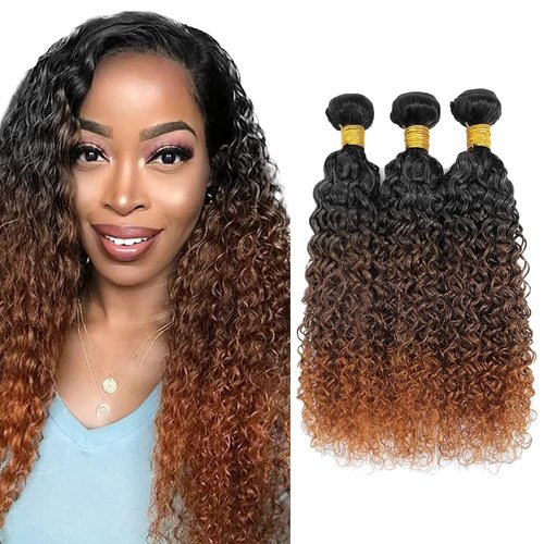 Habiliana Bundles Human Hair 18 20 22 Inch Jerry Curly Human Hair Bundles Omber Natural Chocolate Brown T1B/4/30 11A Unprocessed Brazilian Virgin Quick Weave Hair Extensions for Black Women