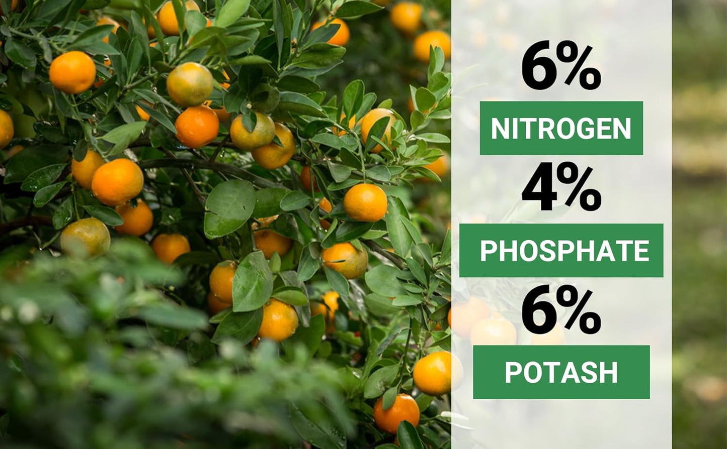 6-4-6 Avocado and Citrus Tree Professional Fertilizer Plant Food for Outdoor/Indoor Gardening; Quick-Release Nitrogen Fertilizer; Orange, Lime, Avocado and Lemon Tree Fertilizer (2 QUARTS)
