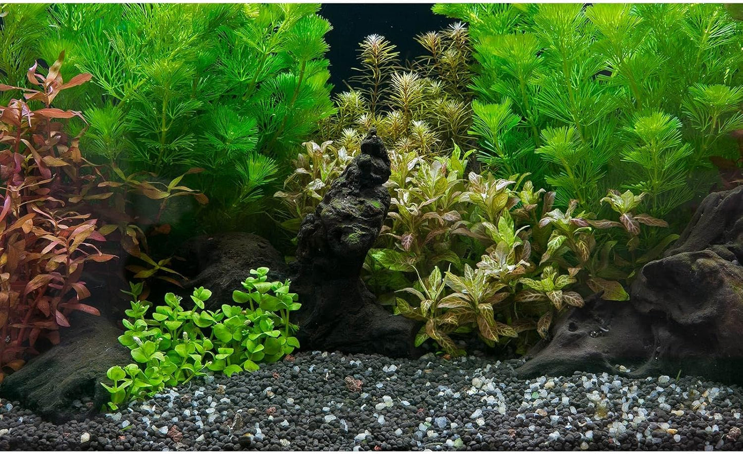 Aquarium Background Exquisite Underwater Grass Leaves with Pebbles Aquarium Backdrop Vivid Green Aquatic Plant Stone with Dead Woods and Fresh Leaves Fish Tank Wallpaper 72x18in