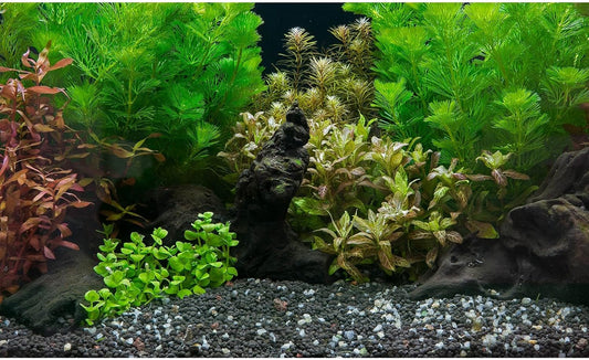 Aquarium Background Exquisite Underwater Grass Leaves with Pebbles Aquarium Backdrop Vivid Green Aquatic Plant Stone with Dead Woods and Fresh Leaves Fish Tank Wallpaper 72x18in