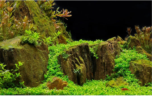 Aquarium Background Exquisite Underwater Grass Moss Fish Tank Background Under Water Stone Terrarium Background Durable Vivid Leaves Undersea Scene Tank Background 36x18in