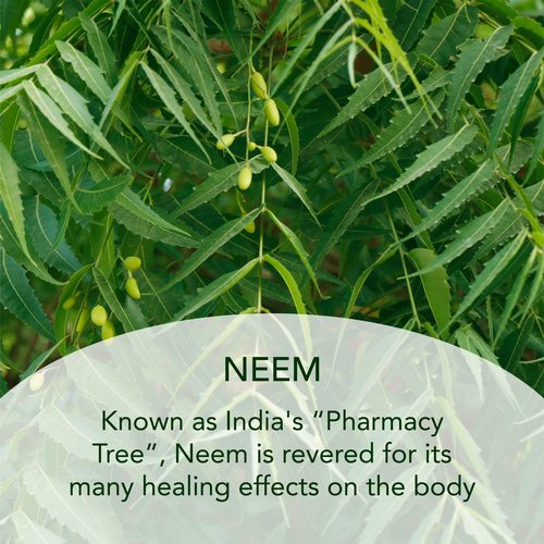 SUNDARI Neem and Avocado Balancing Moisturizer – 1.7 Fl Oz, Hydrating Face Cream with Neem, Smoother Texture, Healthier Skin, All Natural Botanicals