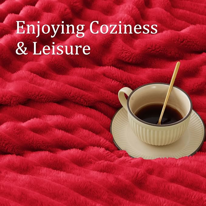 BEDELITE Twin Blanket for Couch & Bed, 300GSM Soft & Warm Fleece Blanket, Decorative and Giftable Striped Red Blankets for Women, Men, 60"x80"
