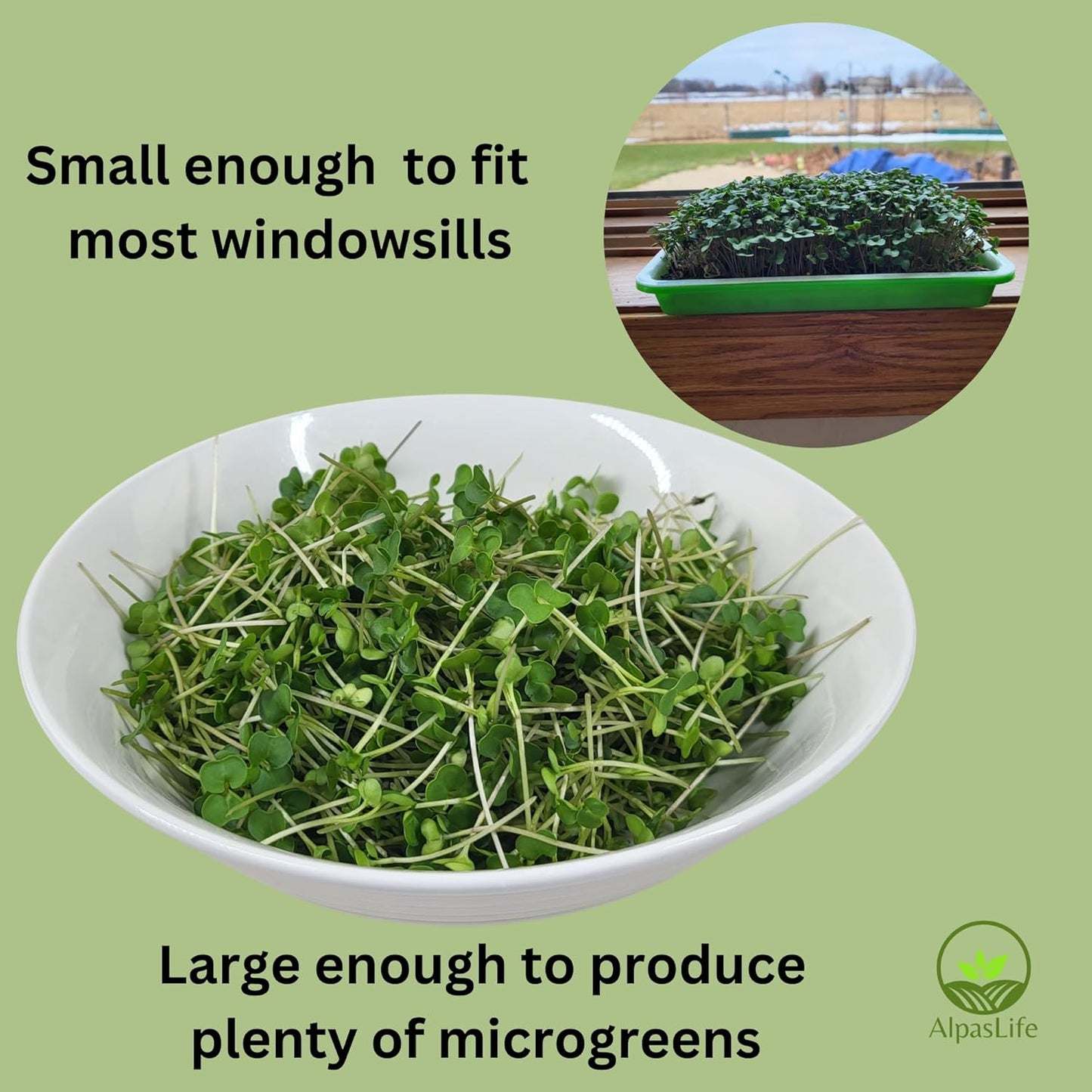 Complete Home Microgreens Kit - Organic Indoor Garden System - Includes 2 Sets of Reusable Trays, Premium Spray Mister, Coco Coir Growing Medium, 2 Packs Organic Seeds – Radish and Broccoli