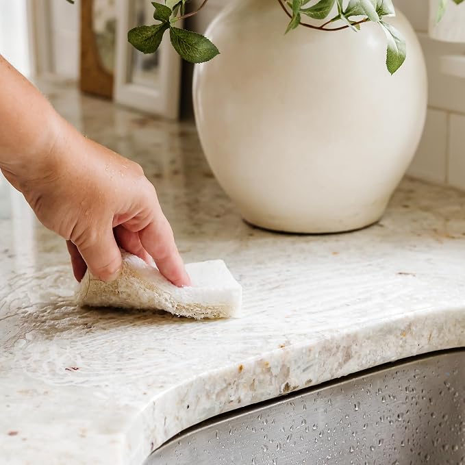 Full Circle Nutcase, Plant-Based Scrubber Sponges – Pack of 6 – 3 Walnut & 3 Coconut – Powerful Natural Sponges Made with Plants & Recycled Materials, Safe for Nonstick