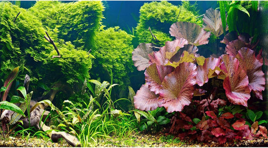 Aquarium Background Underwater Grass Leaves Pebble Aquarium Backdrop Vivid and Fresh Green Aquatic Plant Background Stone River Bed DeadWood Purple Leaves Tank Background Decor Vinyl 36x20in