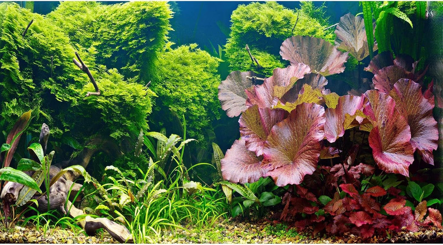 Aquarium Background Underwater Grass Leaves Pebble Aquarium Backdrop Vivid and Fresh Green Aquatic Plant Background Stone River Bed DeadWood Purple Leaves Tank Background Decor Vinyl 36x18in