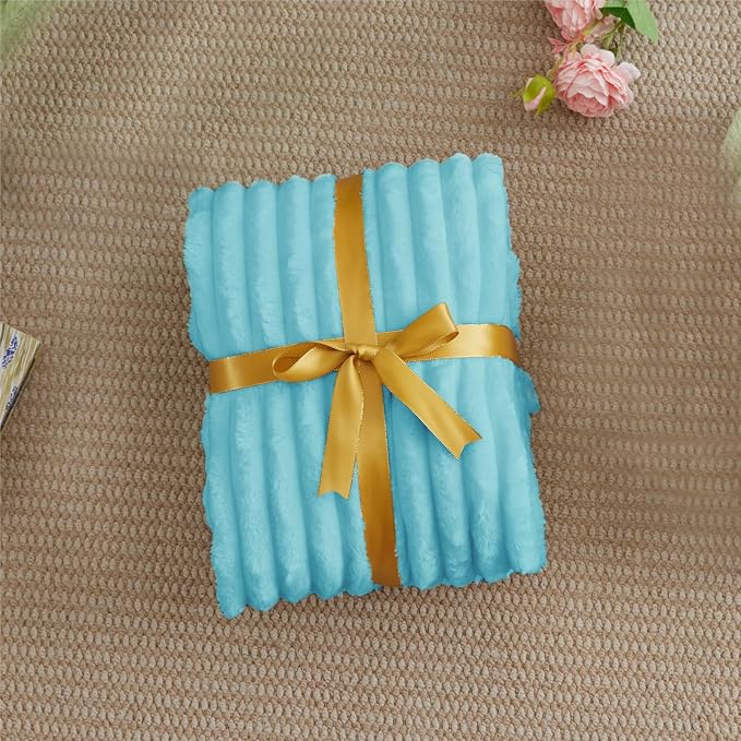 BEDELITE Twin Blanket for Couch & Bed, 300GSM Soft & Warm Fleece Blanket, Decorative and Giftable Striped Sky Blue Blankets for Women, Men, 60"x80"