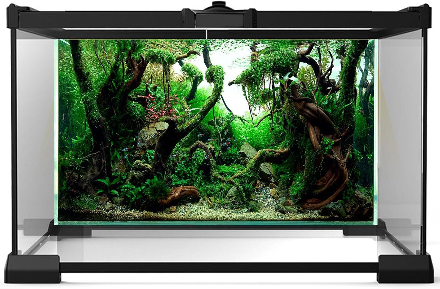 Aquarium Background Underwater Pebble Grass Leaves Aquarium Backdrop Vivid Fresh Green Aquatic Plant Stone River Bed Aquarium Backdrop Deadwood Purple Leaves Tank Background Vinyl 60x24in