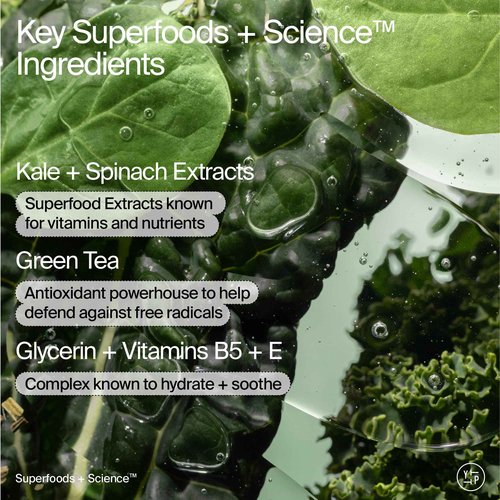 Youth To The People Superfood Cleanser Home Refill Bundle Set, Kale + Green Tea Face Cleanser (8oz) + (16oz Refill Pouch), Award-Winning Face Wash, Makeup Remover, All Skin Types