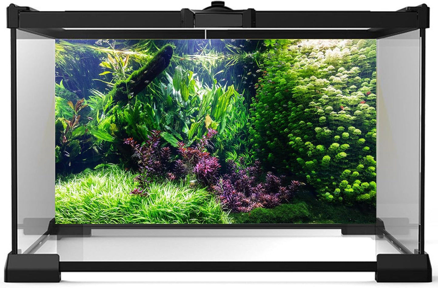Aquarium Background Various Underwater Grass Plants Aquarium Backdrop Vivid and Fresh Green Aquatic Plants Stone River Bed and Dead Wood Tank Background Vinyl 36x20in