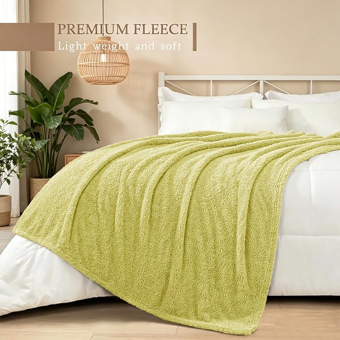 Exclusivo Mezcla Fleece Bed Blankets Queen Size, Ultra Soft, Lightweight and Fuzzy Light Green Blanket for Women, Home Decor, 90x90 Inches