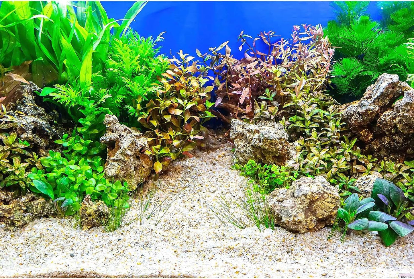 Aquarium Background Underwater Grass Leaves with Pebble Aquarium Backdrop Vivid and Fresh Green Aquatic Plant Stone River Bed and Lake Fish Tank Background Decor Vinyl 72x18in