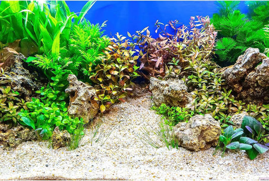 Aquarium Background Underwater Grass Leaves with Pebble Aquarium Backdrop Vivid and Fresh Green Aquatic Plant Stone River Bed and Lake Fish Tank Background Decor Vinyl 24x12in