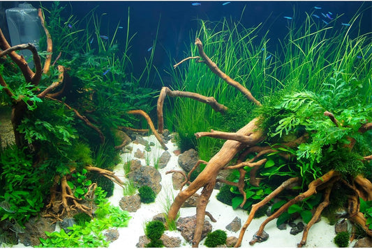 Aquarium Background Various Underwater Grass Plants Aquarium Backdrop Vivid and Fresh Green Aquatic Plants Stone River Bed and Dead Wood Yellow Stone Fish Tank Background 24x12in